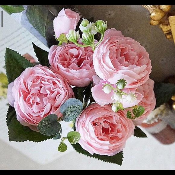 Meet your Posher, Natalie - Picture 1 of 1